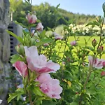Vakantiehuis Le Clos Du Cerf - La Renardiere *