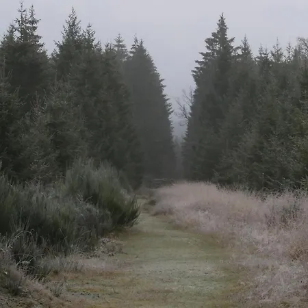 Le Clos Du Cerf - La Renardiere ستاومونت