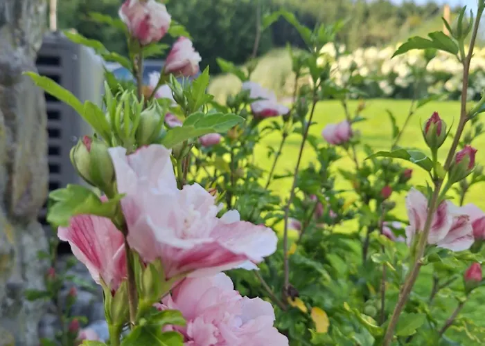 Casa de Férias Le Clos Du Cerf - La Renardiere *